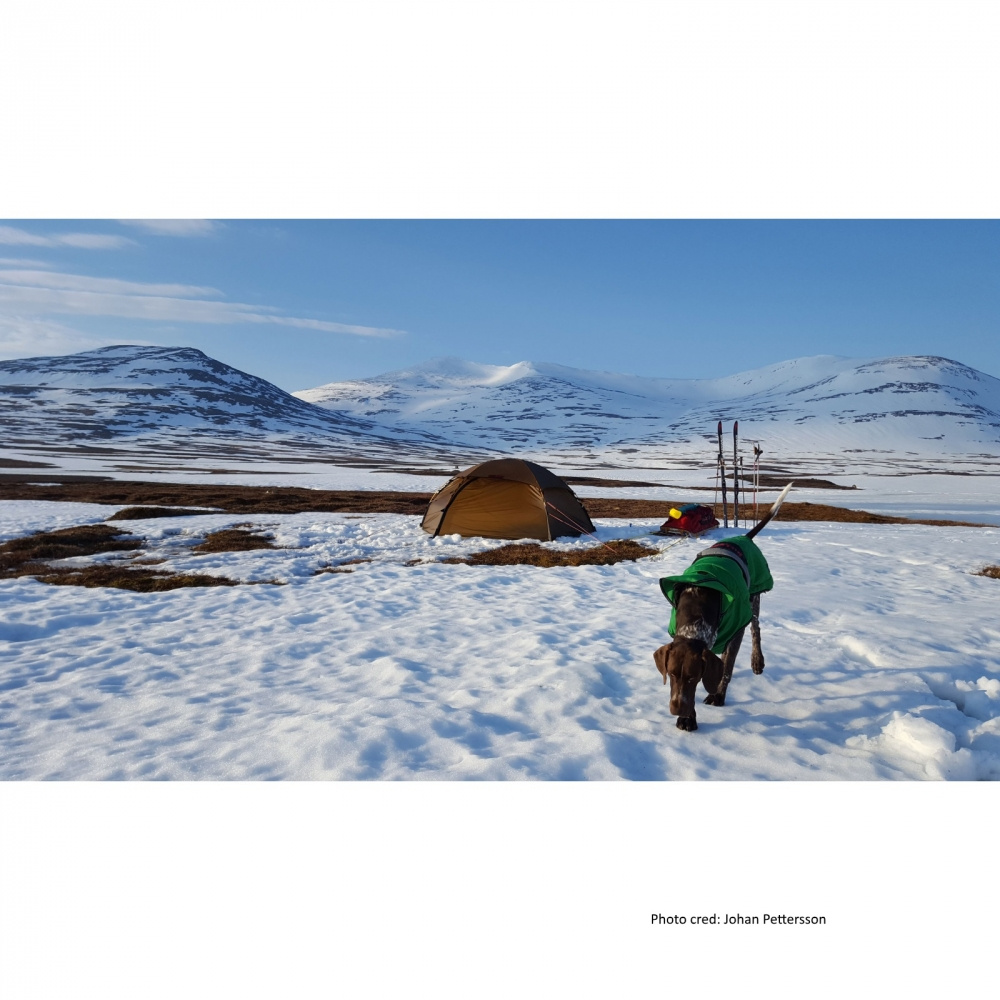 Hilleberg Allak i vintermiljö