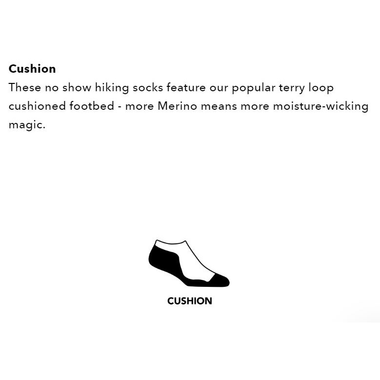 Ws Light Hiker No Show Lightweight Sock