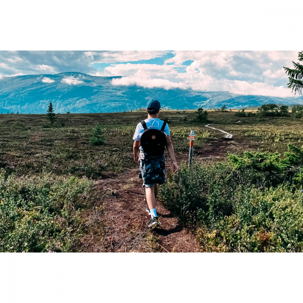 Dalum 30 Jälda Carry Kit