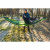 Draka Hammock SMUK Paketpris Draka Hammock SMUK Paketpris