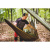 SNEKA Hammock Ridgeline SNEKA Hammock Ridgeline